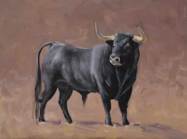 Elena Abreu - Toro IV